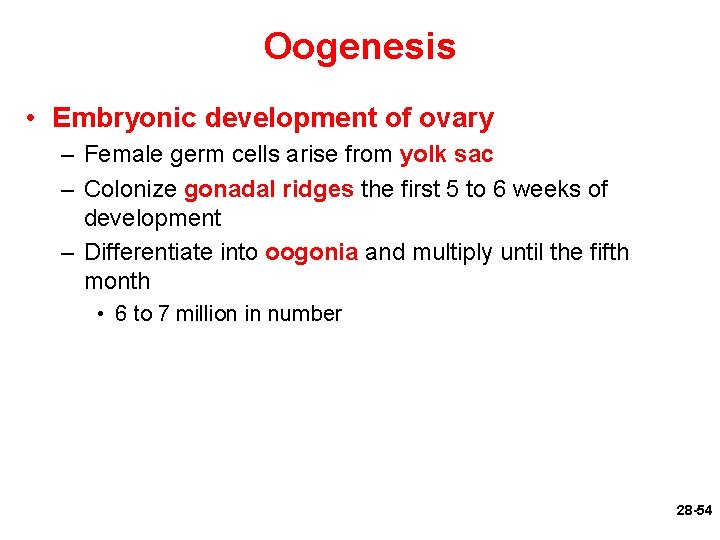 Oogenesis • Embryonic development of ovary – Female germ cells arise from yolk sac