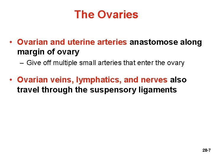 The Ovaries • Ovarian and uterine arteries anastomose along margin of ovary – Give