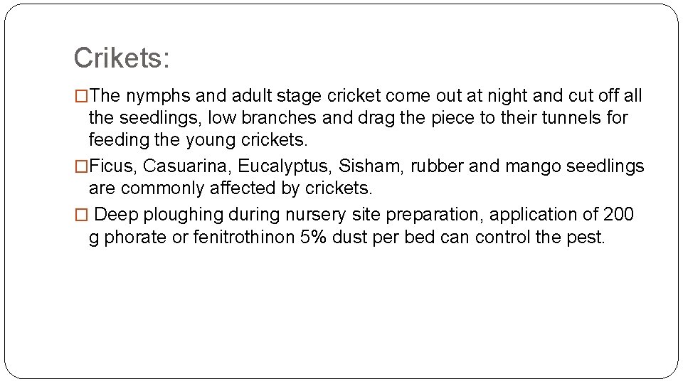 Crikets: �The nymphs and adult stage cricket come out at night and cut off