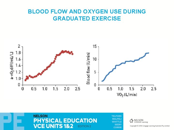 BLOOD FLOW AND OXYGEN USE DURING GRADUATED EXERCISE BLOOD FLOW AND OXYGEN USE DURING GRADUATED EXERCISE