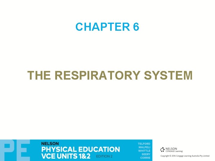 CHAPTER 6 THE RESPIRATORY SYSTEM CHAPTER 6 THE RESPIRATORY SYSTEM