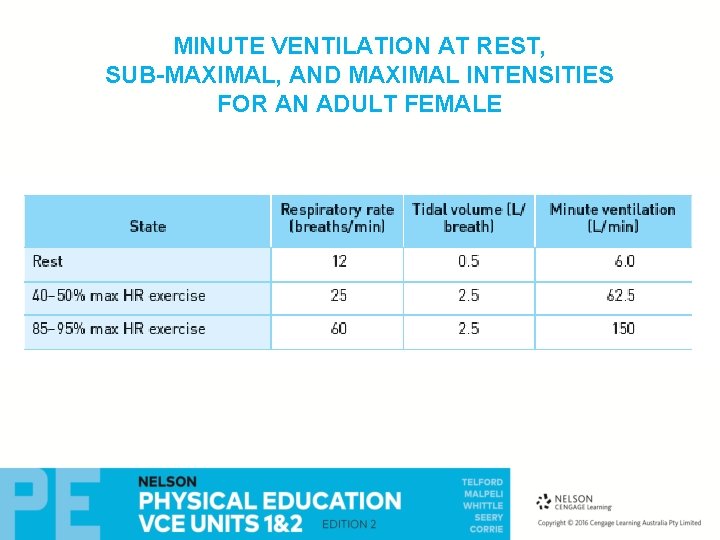 MINUTE VENTILATION AT REST, SUB-MAXIMAL, AND MAXIMAL INTENSITIES FOR AN ADULT FEMALE MINUTE VENTILATION AT REST, SUB-MAXIMAL, AND MAXIMAL INTENSITIES FOR AN ADULT FEMALE