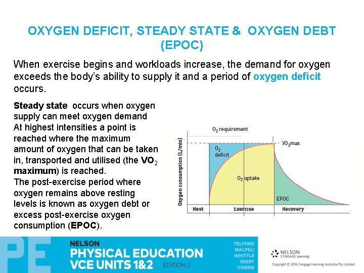 OXYGEN DEFICIT, STEADY STATE & OXYGEN DEBT (EPOC) When exercise begins and workloads increase, OXYGEN DEFICIT, STEADY STATE & OXYGEN DEBT (EPOC) When exercise begins and workloads increase,