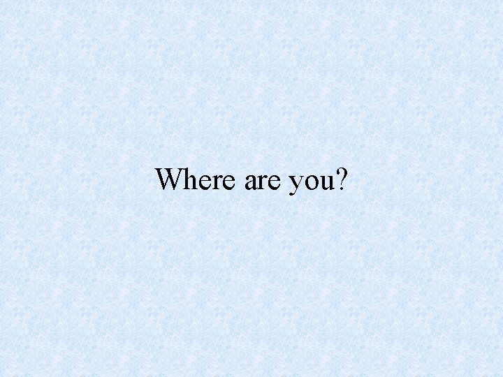 Where are you? 