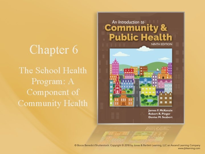 Chapter 6 The School Health Program: A Component of Community Health 