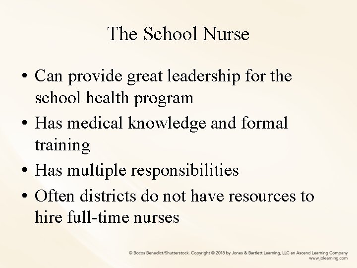 The School Nurse • Can provide great leadership for the school health program •