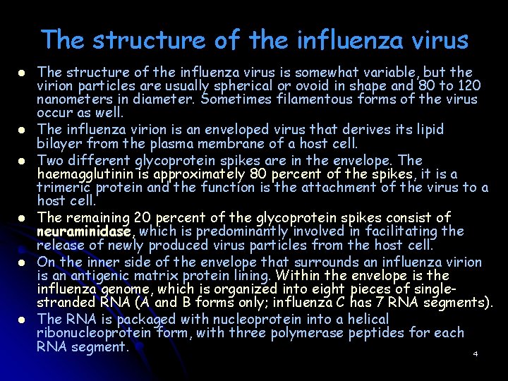 The structure of the influenza virus l l l The structure of the influenza The structure of the influenza virus l l l The structure of the influenza
