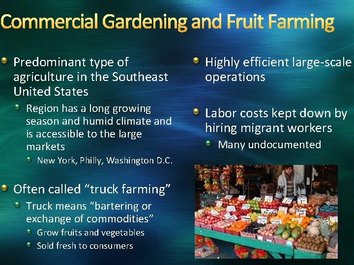 Commercial Gardening and Fruit Farming Predominant type of agriculture in the Southeast United States