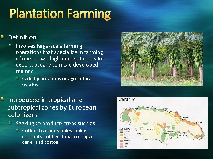 Plantation Farming Definition Involves large-scale farming operations that specialize in farming of one or