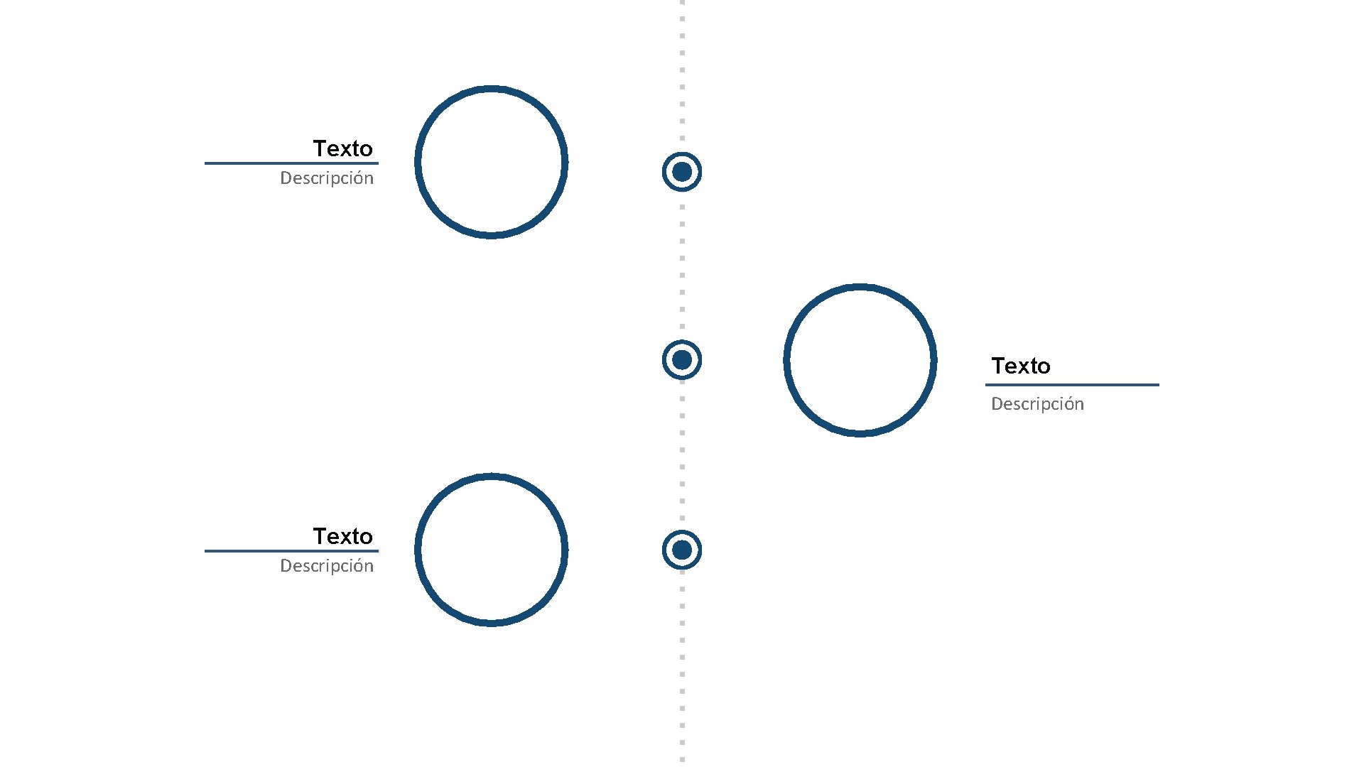 Texto Descripción 