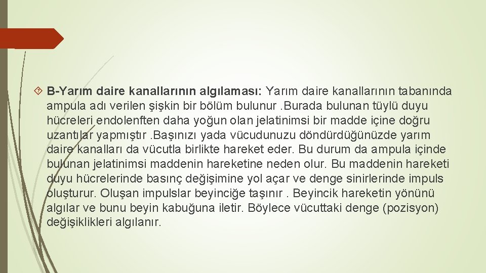  B-Yarım daire kanallarının algılaması: Yarım daire kanallarının tabanında ampula adı verilen şişkin bir