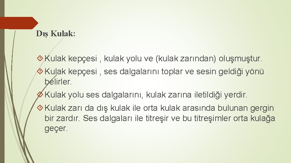 Dış Kulak: Kulak kepçesi , kulak yolu ve (kulak zarından) oluşmuştur. Kulak kepçesi ,