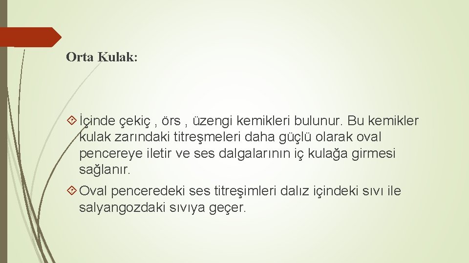 Orta Kulak: İçinde çekiç , örs , üzengi kemikleri bulunur. Bu kemikler kulak zarındaki