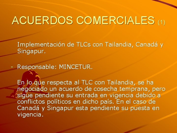 ACUERDOS COMERCIALES (1) Implementación de TLCs con Tailandia, Canadá y Singapur. - Responsable: MINCETUR.