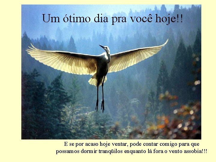 Um ótimo dia pra você hoje!! E se por acaso hoje ventar, pode contar