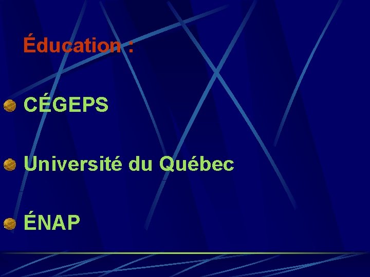 Éducation : CÉGEPS Université du Québec ÉNAP 
