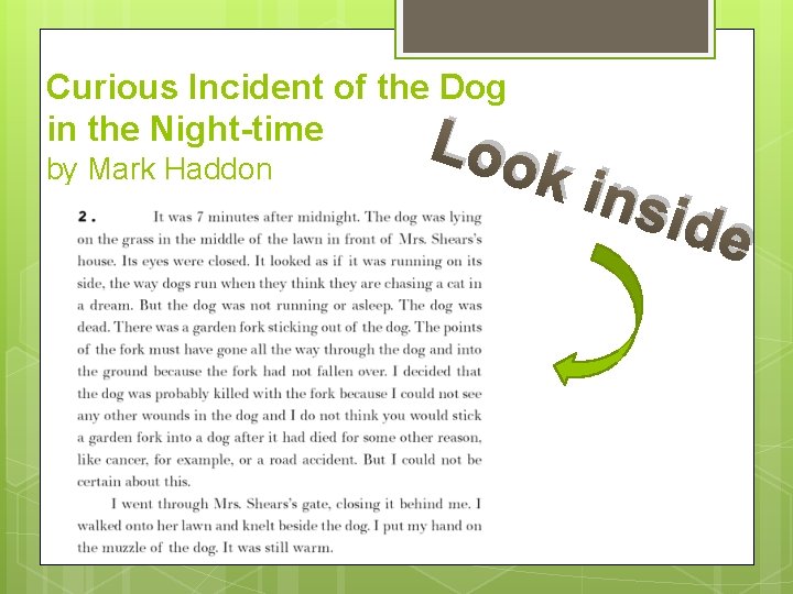 Curious Incident of the Dog in the Night-time by Mark Haddon Loo k in