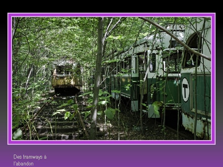 Des tramways à l’abandon 