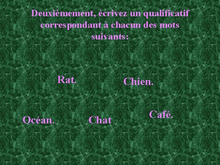 Deuxièmement, écrivez un qualificatif correspondant à chacun des mots suivants: Rat. Océan. Chien. Chat.