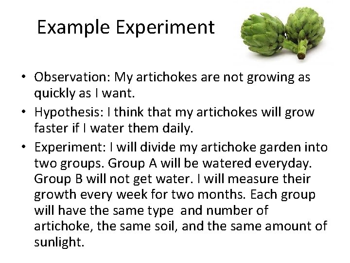 Example Experiment j • Observation: My artichokes are not growing as quickly as I Example Experiment j • Observation: My artichokes are not growing as quickly as I