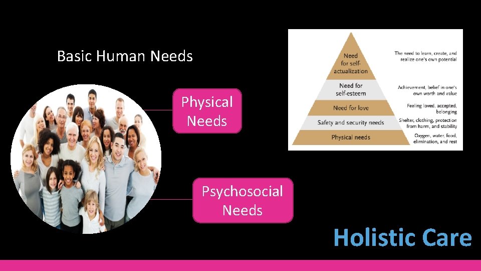 Basic Human Needs Physical Needs Psychosocial Needs Holistic Care 