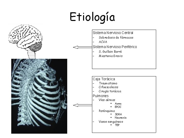 Etiología Sistema Nervioso Central – – Sobredosis de fármacos ACVA Sistema Nervioso Periférico –