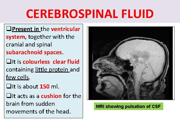 CEREBROSPINAL FLUID q. Present in the ventricular system, together with the cranial and spinal