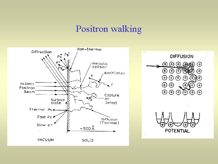 Positron walking 
