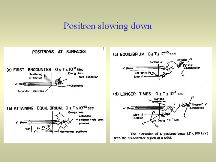 Positron slowing down 