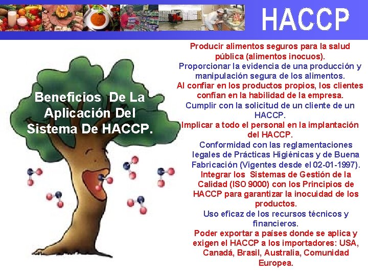 Beneficios De La Aplicación Del Sistema De HACCP. Producir alimentos seguros para la salud