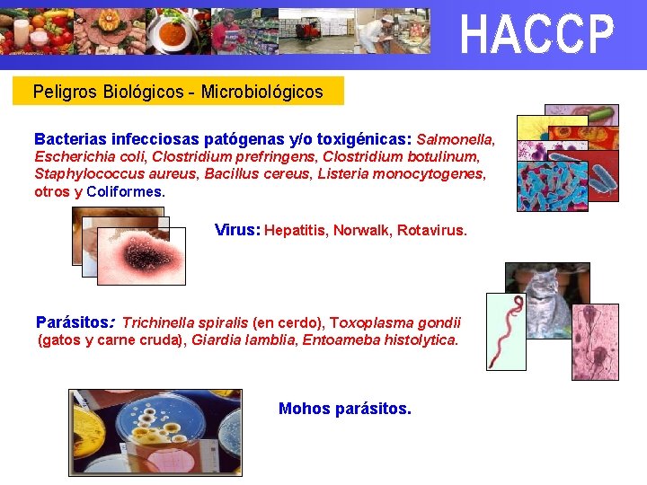 Peligros Biológicos - Microbiológicos Bacterias infecciosas patógenas y/o toxigénicas: Salmonella, Escherichia coli, Clostridium prefringens,