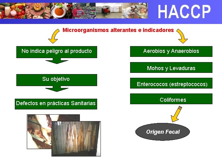 Microorganismos alterantes e indicadores No indica peligro al producto Aerobios y Anaerobios Mohos y