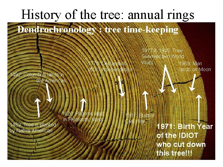 History of the tree: annual rings Dendrochronology : tree time-keeping 1492: Columbus lands in