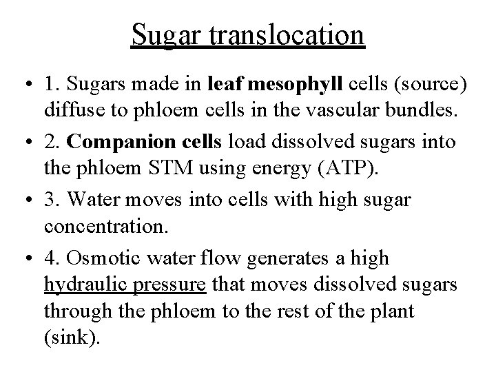 Sugar translocation • 1. Sugars made in leaf mesophyll cells (source) diffuse to phloem