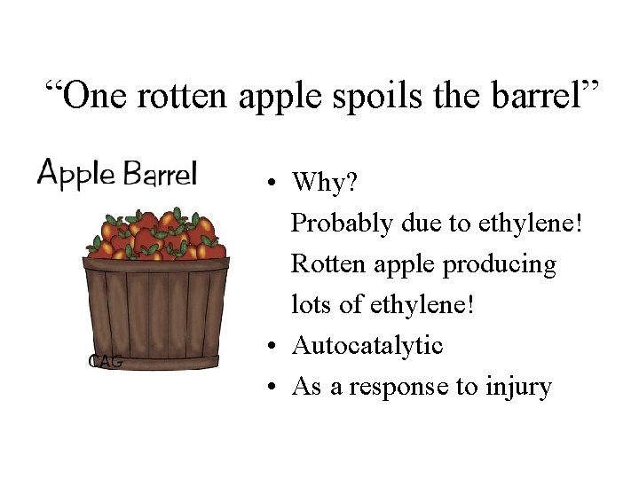 “One rotten apple spoils the barrel” • Why? Probably due to ethylene! Rotten apple