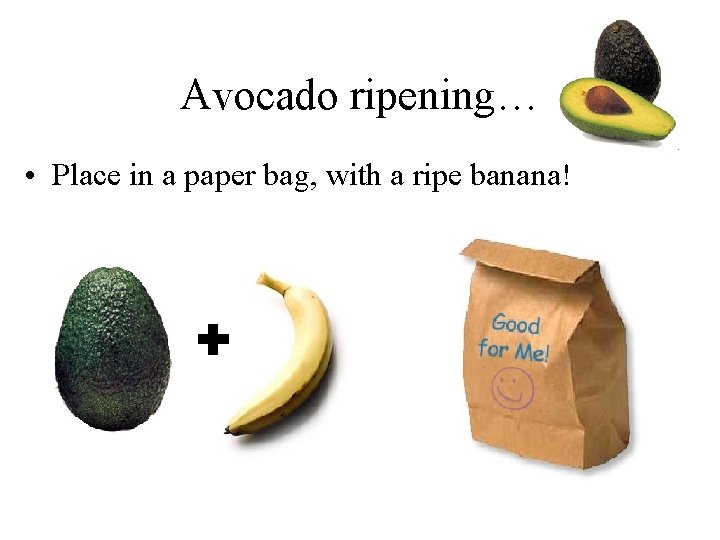 Avocado ripening… • Place in a paper bag, with a ripe banana! 