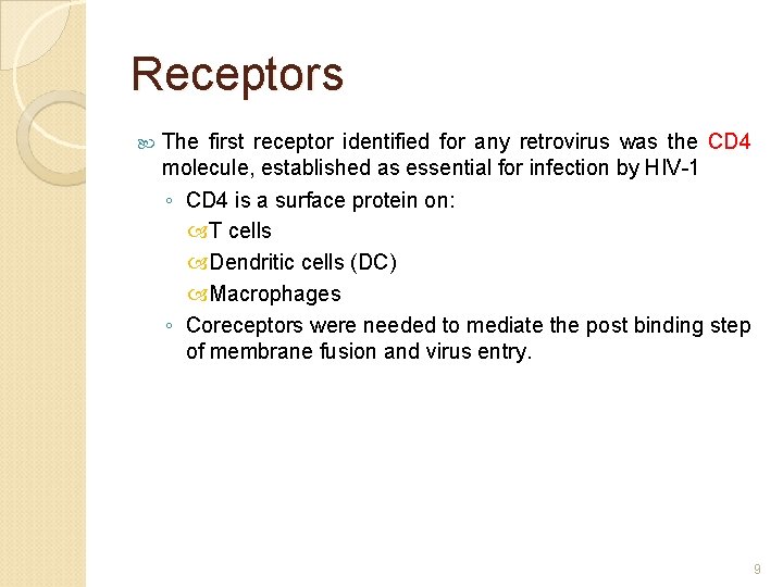 Receptors The first receptor identified for any retrovirus was the CD 4 molecule, established