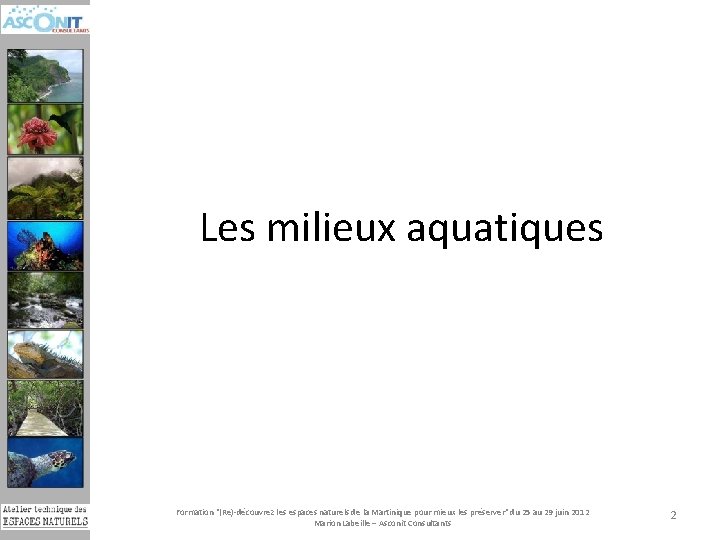 Les milieux aquatiques Formation "(Re)-découvrez les espaces naturels de la Martinique pour mieux les