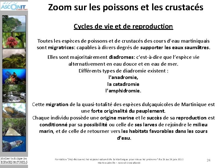 Zoom sur les poissons et les crustacés Cycles de vie et de reproduction Toutes