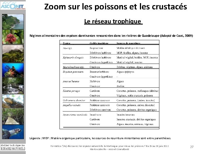 Zoom sur les poissons et les crustacés Le réseau trophique Régimes alimentaires des espèces