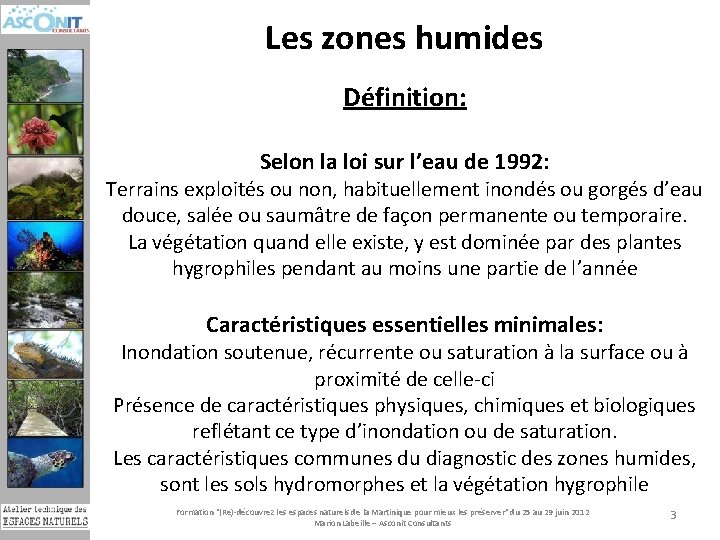 Les zones humides Définition: Selon la loi sur l’eau de 1992: Terrains exploités ou