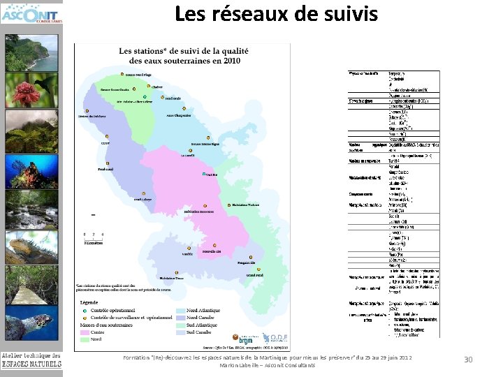 Les réseaux de suivis Formation "(Re)-découvrez les espaces naturels de la Martinique pour mieux