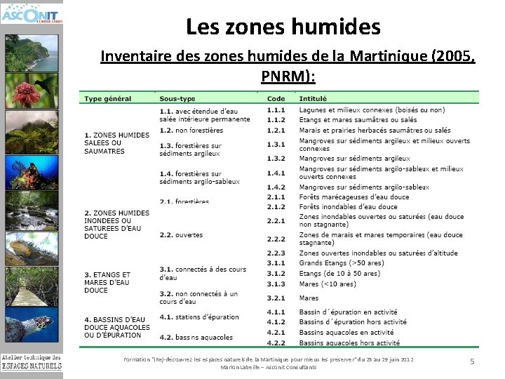 Les zones humides Inventaire des zones humides de la Martinique (2005, PNRM): Formation "(Re)-découvrez
