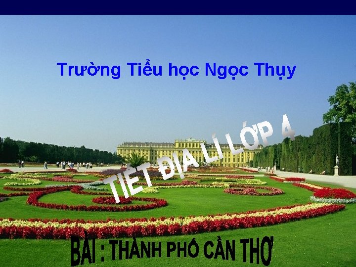 Trường Tiểu học Ngọc Thụy THÀNH PHỐ C N THƠ 