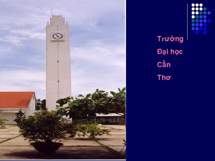 Trường Đại học Cần Thơ 