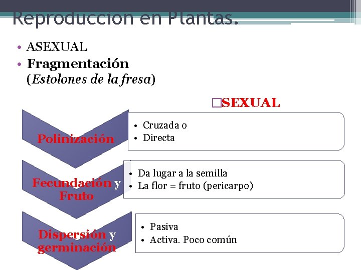 Reproducción en Plantas. • ASEXUAL • Fragmentación (Estolones de la fresa) �SEXUAL Polinización •