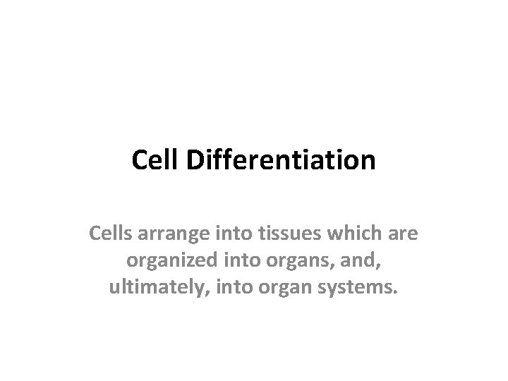 Cell Differentiation Cells arrange into tissues which are organized into organs, and, ultimately, into