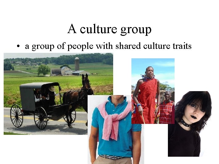 A culture group • a group of people with shared culture traits 