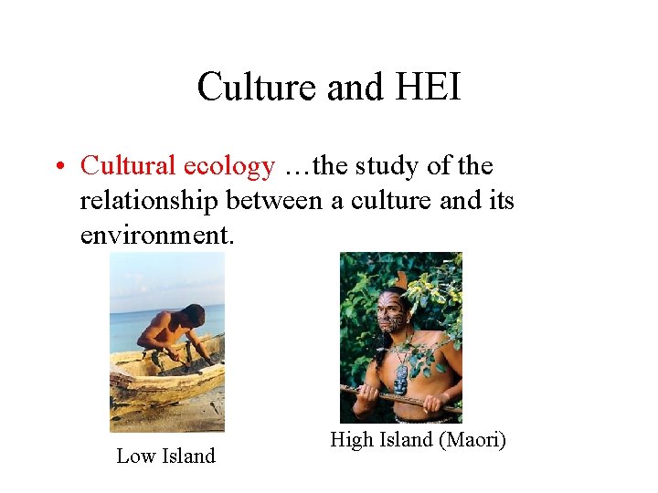 Culture and HEI • Cultural ecology …the study of the relationship between a culture