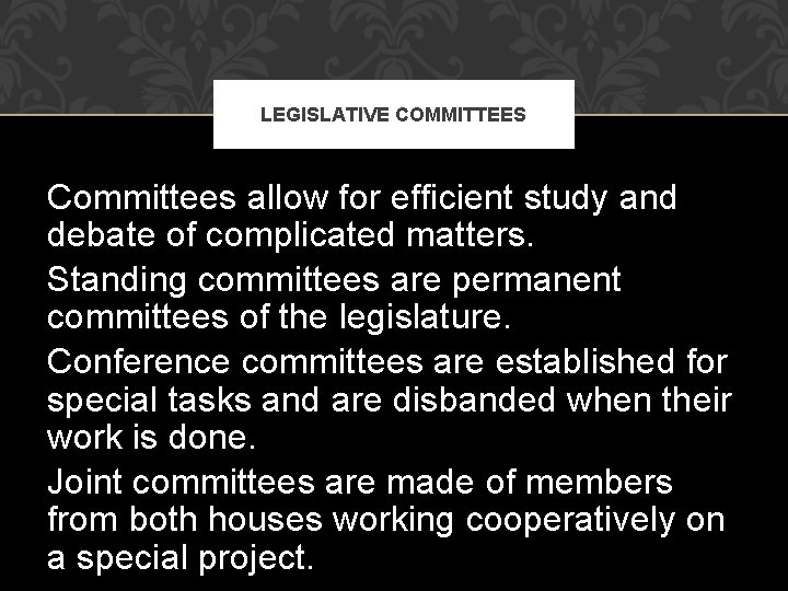LEGISLATIVE COMMITTEES Committees allow for efficient study and debate of complicated matters. Standing committees